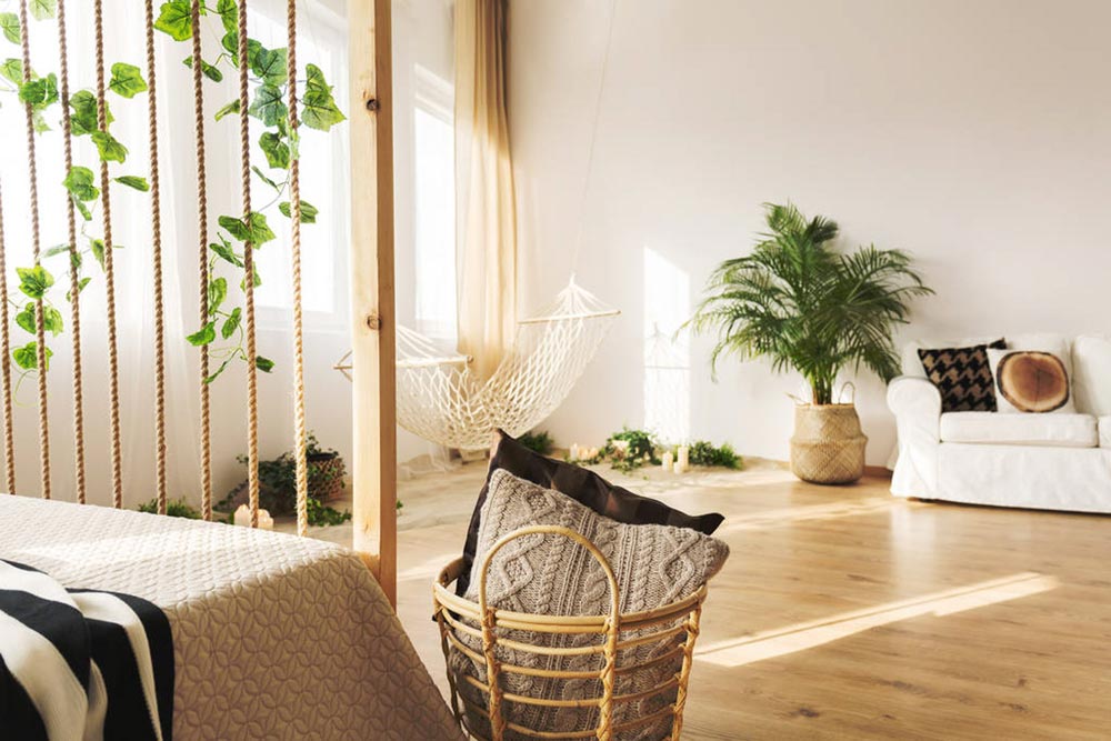 室內(nèi)養(yǎng)多肉適合什么花_室內(nèi)養(yǎng)多肉適合什么花盆_什么多肉適合室內(nèi)養(yǎng)