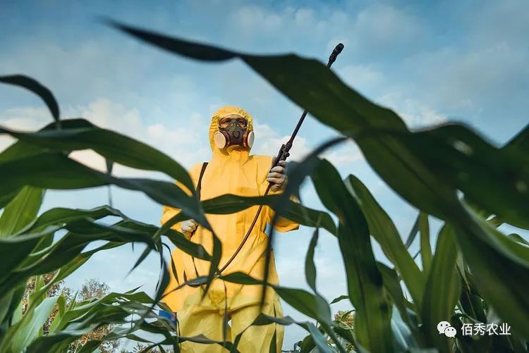 敵敵畏是酸性還是堿性農(nóng)藥_敵殺死酸堿性_農(nóng)藥敵敵畏是酸性的還是堿性的