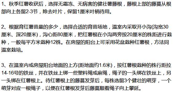 紅薯種植開始育苗時候要澆水嗎_紅薯什么時候種植開始育苗_紅薯種植開始育苗時候澆水嗎