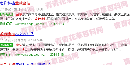 盆栽金桔的飼養(yǎng)方法_金桔盆栽種植方法和注意事項(xiàng)_盆栽金桔種植技術(shù)