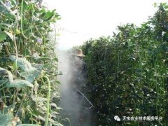 都哪些農藥是堿性的？