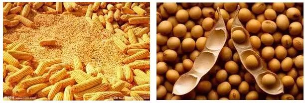 農(nóng)藥最毒_農(nóng)藥毒死蜱_農(nóng)藥毒性