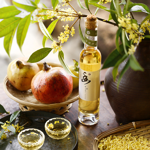 家里養(yǎng)什么綠植對身體好_綠植養(yǎng)家里有什么作用_養(yǎng)綠植給身心帶來的好處