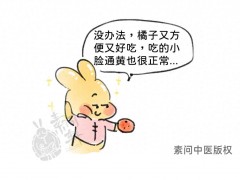 金秋農藥 這個金秋“散結果”，1枚等于五味藥！這樣吃通絡理氣、化痰潤肺